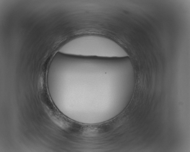 X0000081490206200701121121