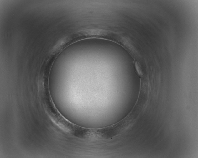 X0000081490207200701121121