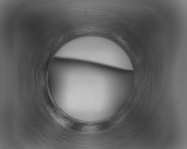 X0000081490213200701121121