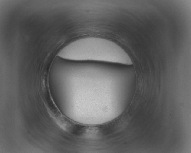 X0000081490214200701121121