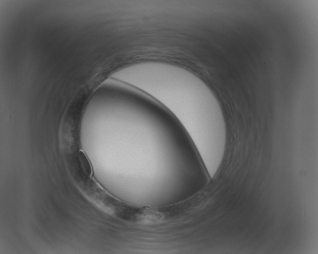 X0000081490215200701121121