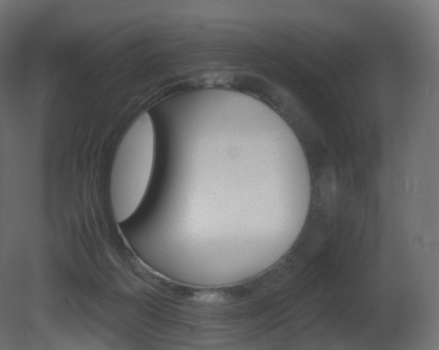 X0000081490218200701121121