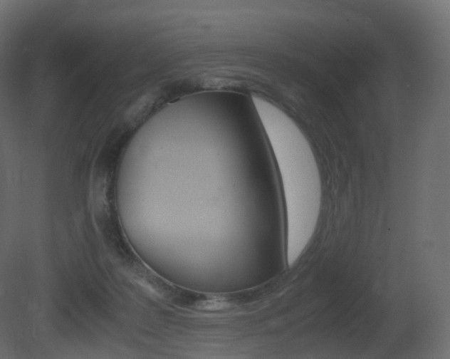X0000081490219200701121121