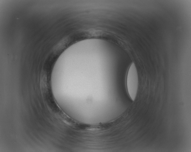 X0000081490220200701121121