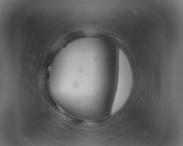 X0000081490221200701121121