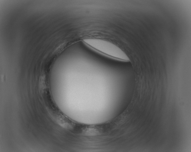 X0000081490224200701121121