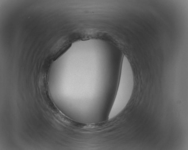 X0000081490225200701121121