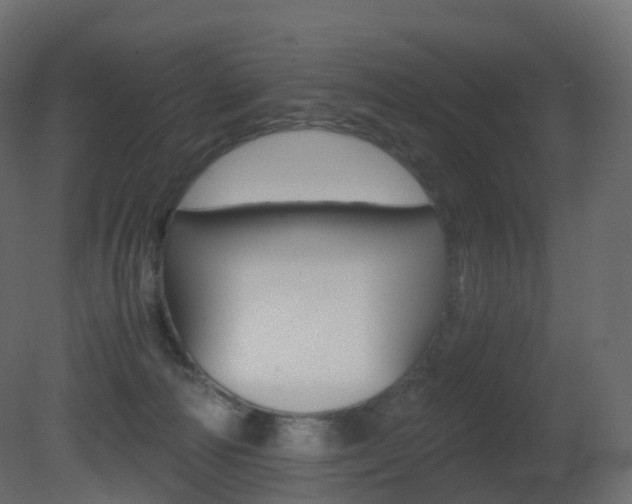 X0000081490226200701121121