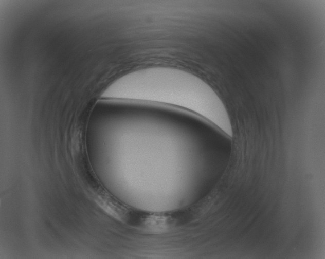 X0000081490227200701121121