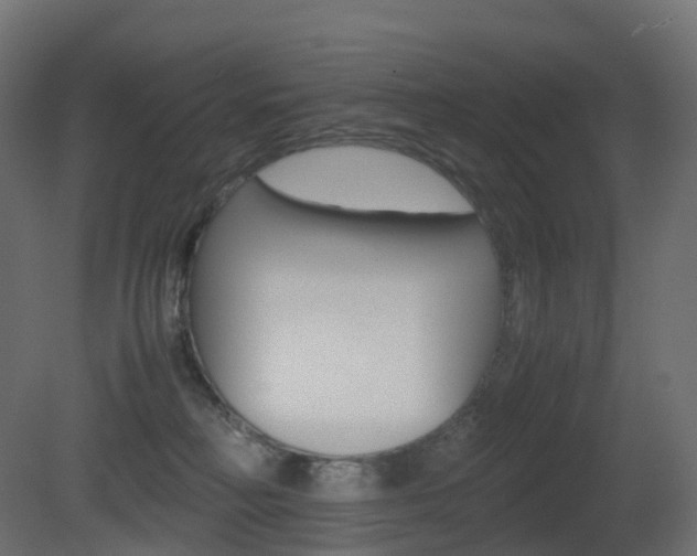 X0000081490230200701121121