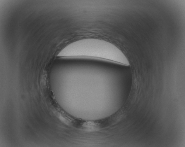 X0000081490231200701121120