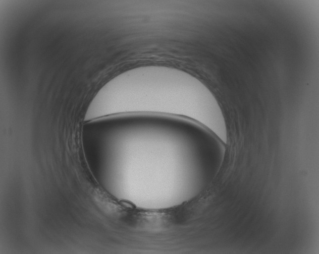 X0000081490233200701121120