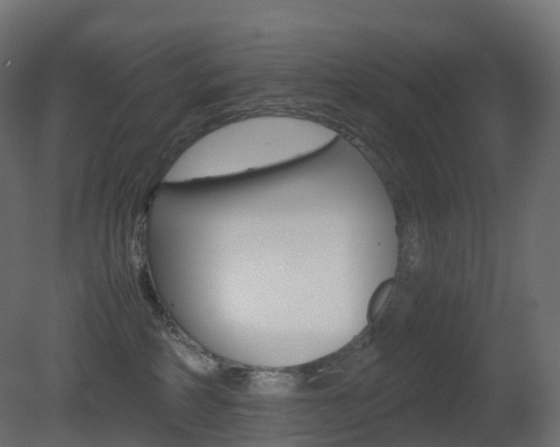 X0000081490234200701121120