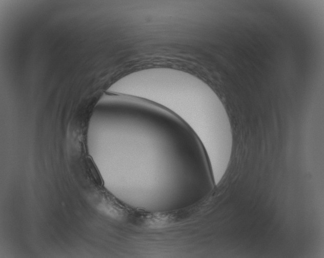 X0000081490235200701121120