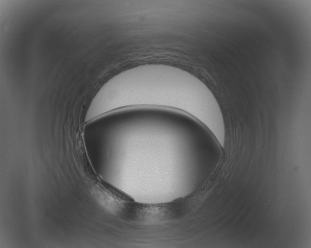 X0000081490237200701121120