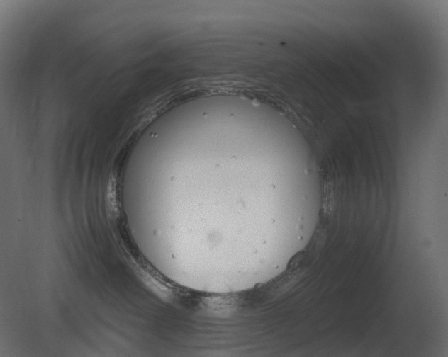 X0000081490238200701121120