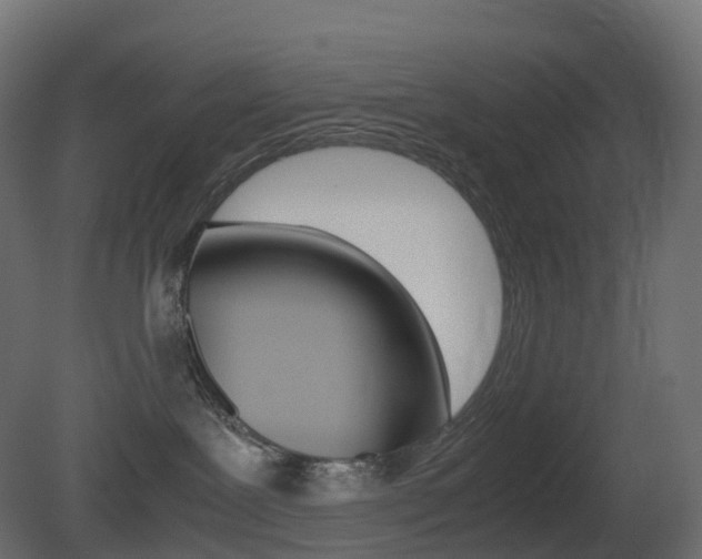 X0000081490239200701121120