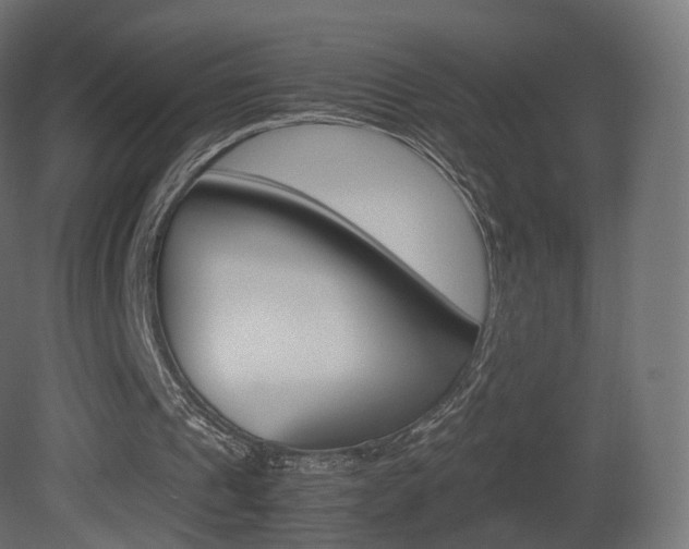 X0000081490241200701121120