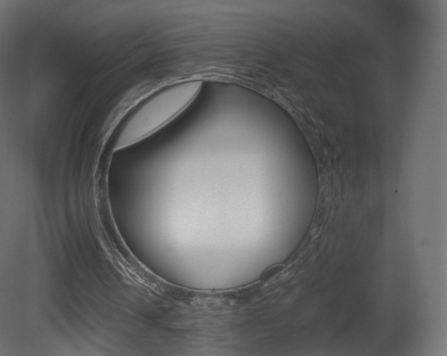 X0000081490242200701121120