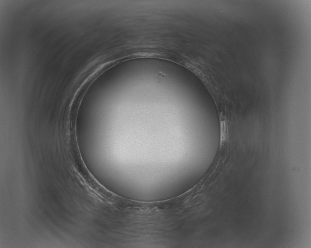 X0000081490243200701121120