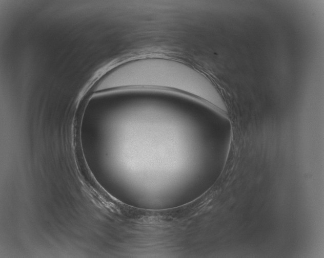 X0000081490244200701121120