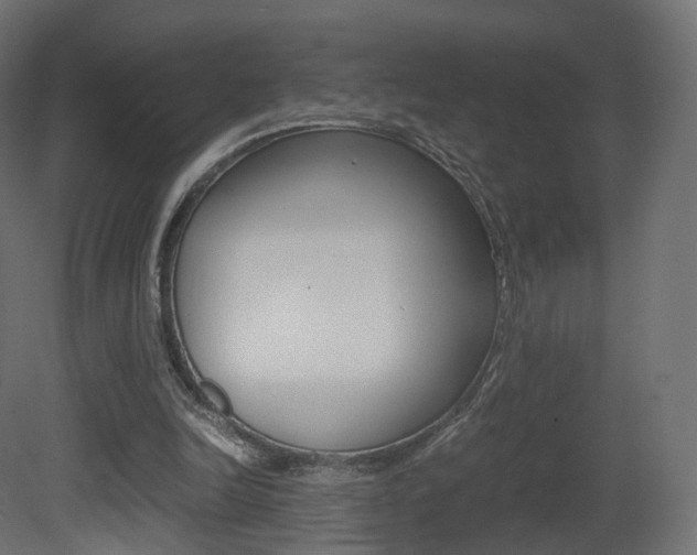 X0000081490246200701121120