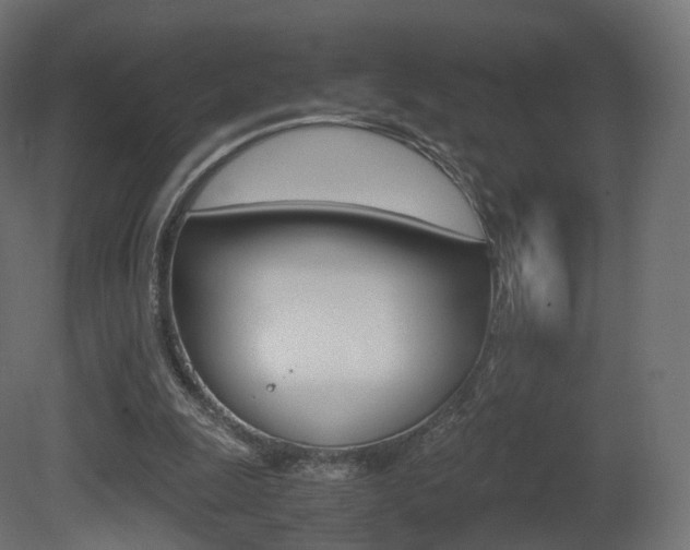 X0000081490247200701121120