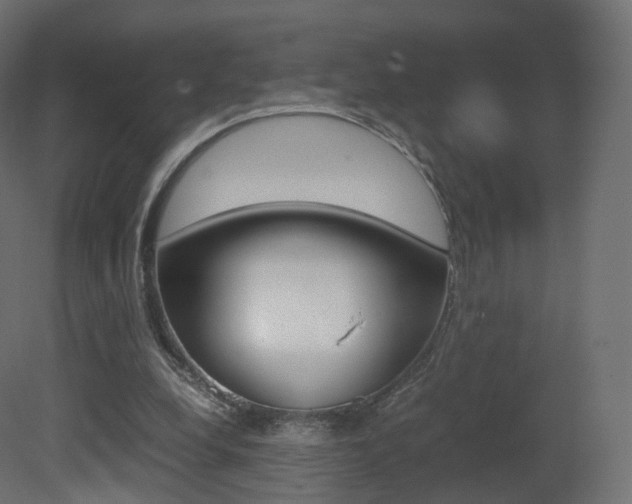 X0000081490248200701121120