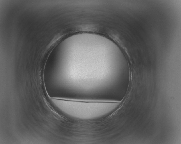 X0000081490249200701121120