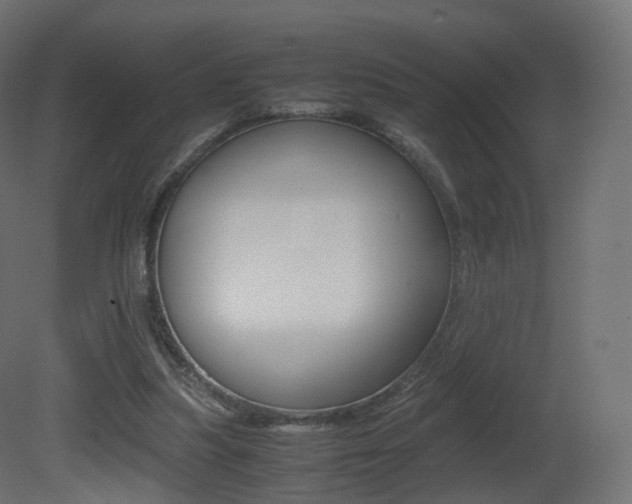 X0000081490251200701121120