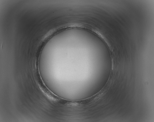 X0000081490253200701121120