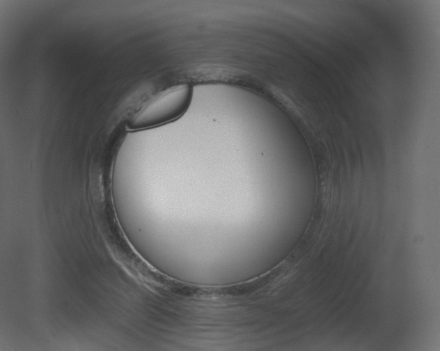 X0000081490254200701121120