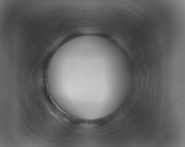 X0000081490255200701121120