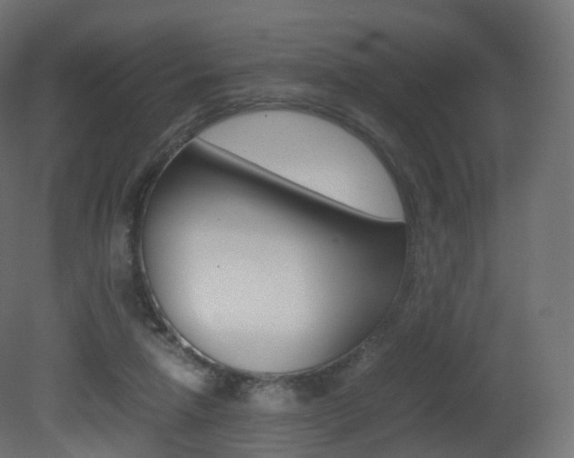 X0000081490258200701121120