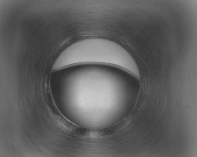 X0000081490264200701121120