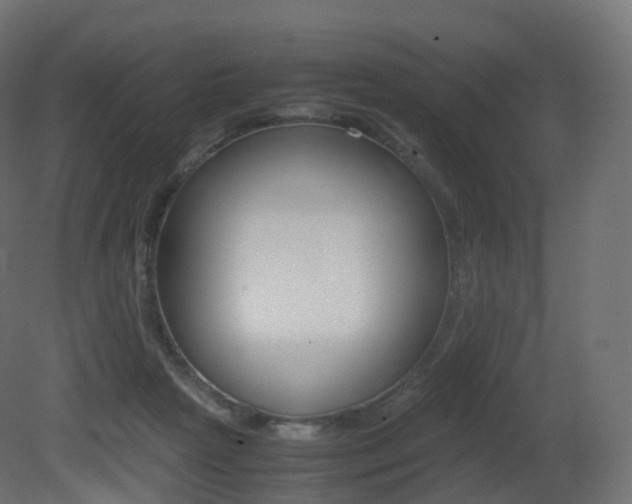 X0000081490265200701121120