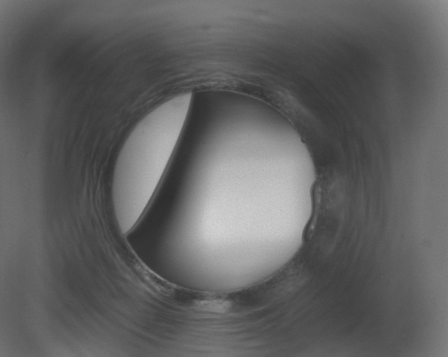 X0000081490266200701121120