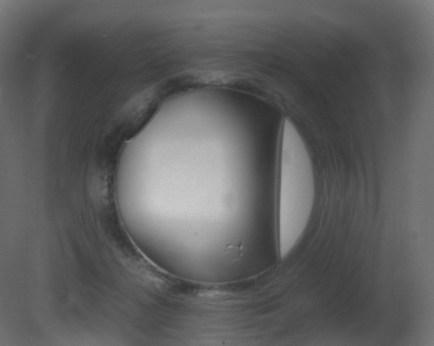X0000081490268200701121120