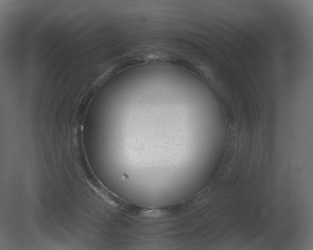 X0000081490269200701121120