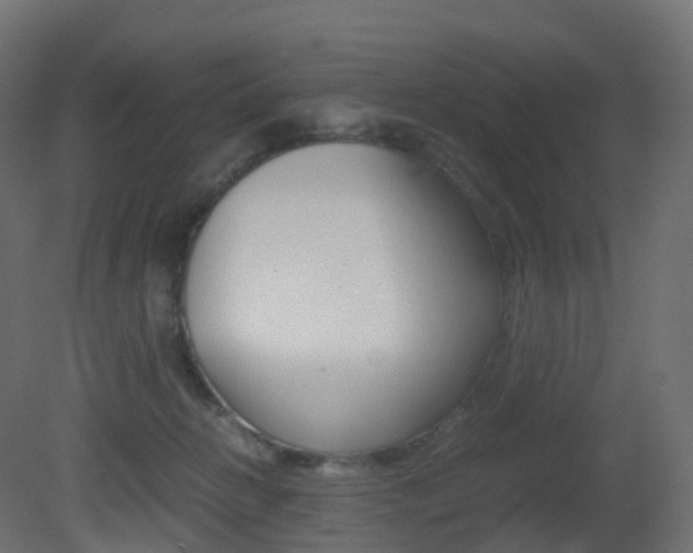 X0000081490270200701121120