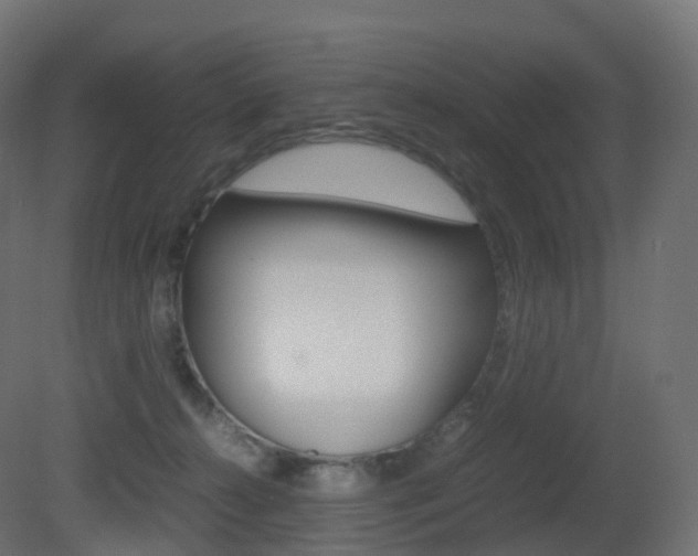 X0000081490272200701121120