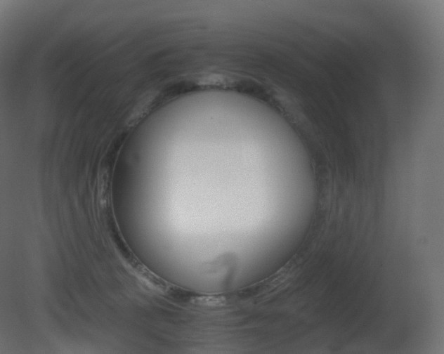 X0000081490273200701121120
