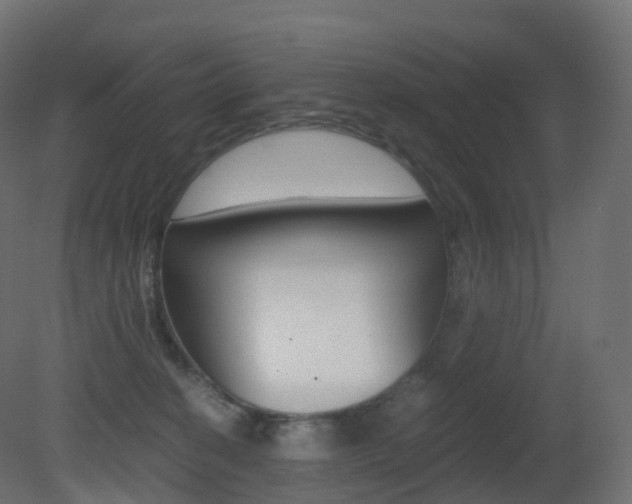 X0000081490274200701121120