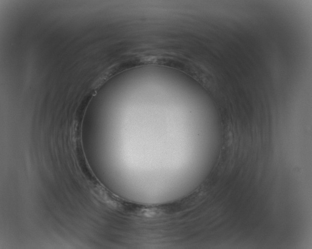 X0000081490275200701121120