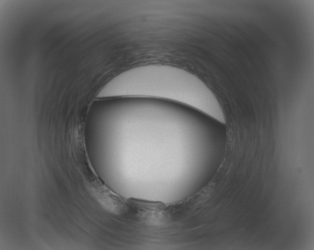 X0000081490276200701121120