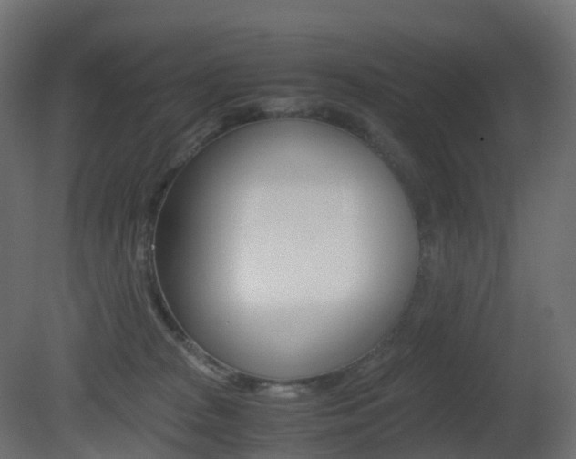 X0000081490277200701121120