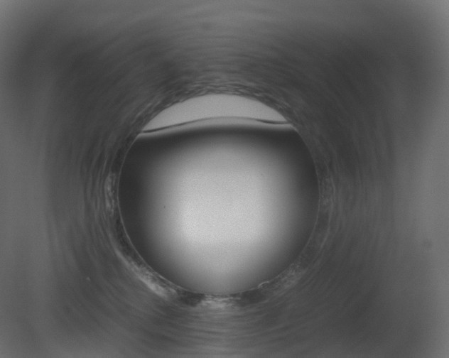 X0000081490280200701121120