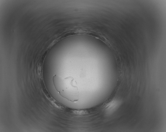 X0000081490281200701121120