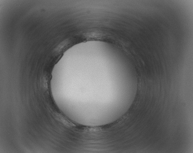 X0000081490282200701121120