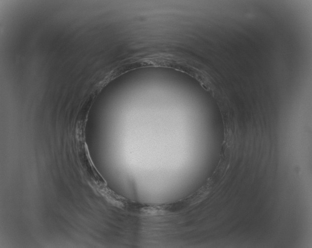 X0000081490284200701121120
